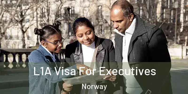 L1A Visa For Executives Norway